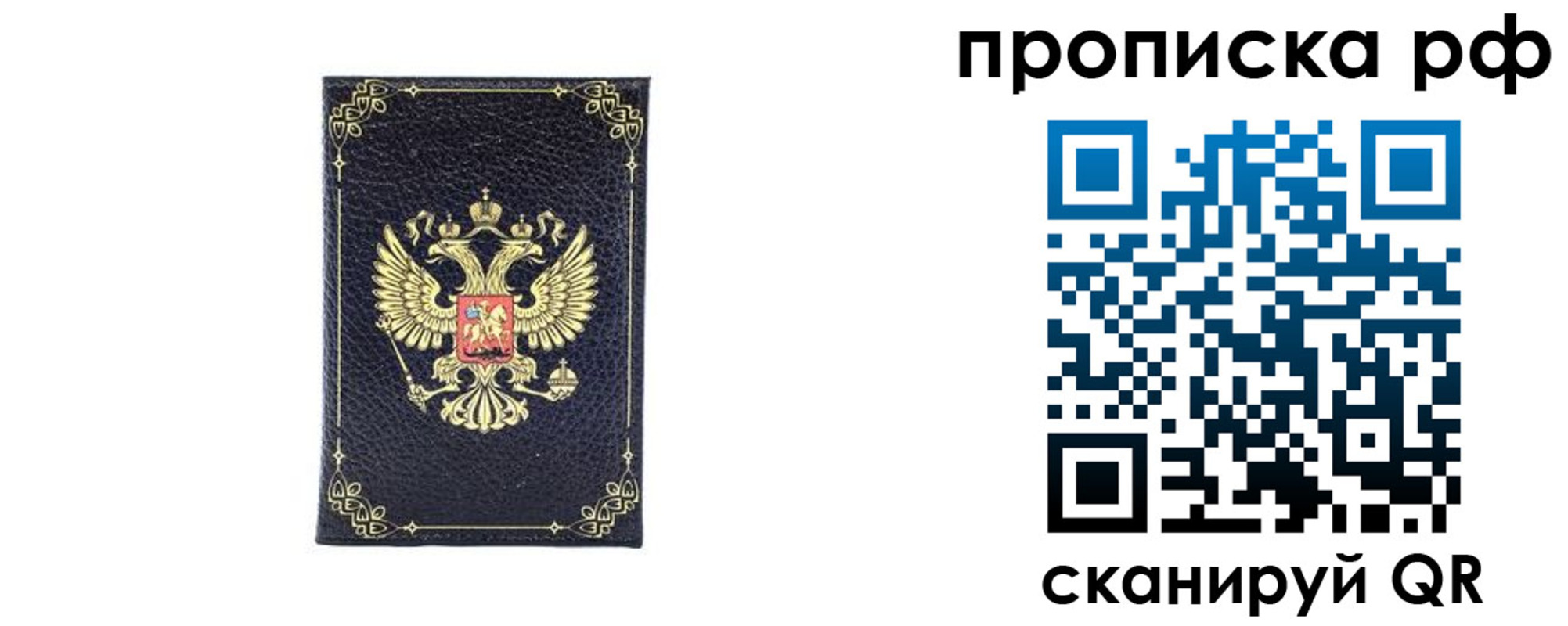 прописка для школы в Белгородской области